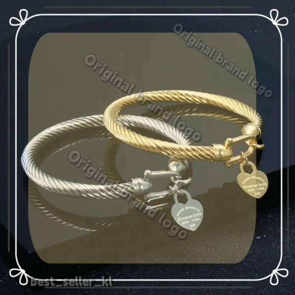Titanium Steel Tiffanyjewelry Bracelet With Hook Bangle Jewelry Cable Wire Gold Color Love Heart Charm Bangle Closure For Women Men Wedding Gifts 521