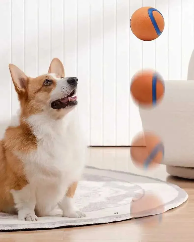 Bola de brinquedo elástica e resistente para cães buscar_voghion.com