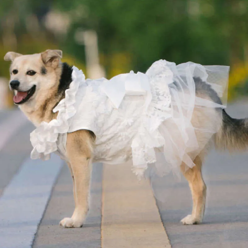formal dresses for dogs Unique Pet Feather Tutu Dog Lace Dress Princess Dress Pink Swan for Wedding Party Birthday Festival One Piece M main image 0