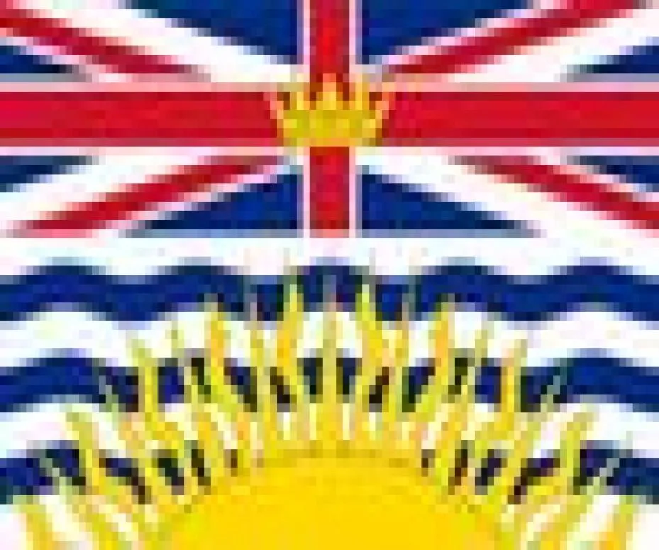 Flaga Kanady Brytyjczyka 3 stóp x 5 stóp Baner poliestrowy latający 150* 90 cm Flaga niestandardowa Outdoor4068235