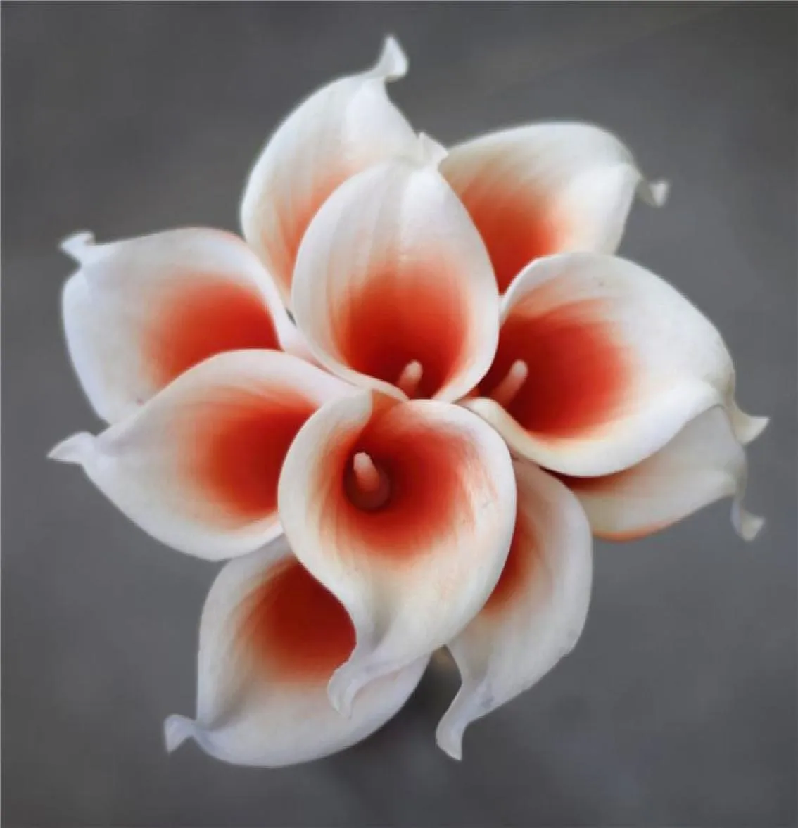 Lacivert picasso calla zambakları düğün buketleri için gerçek dokunmatik çiçekler centerpieces düğün için yapay çiçekler