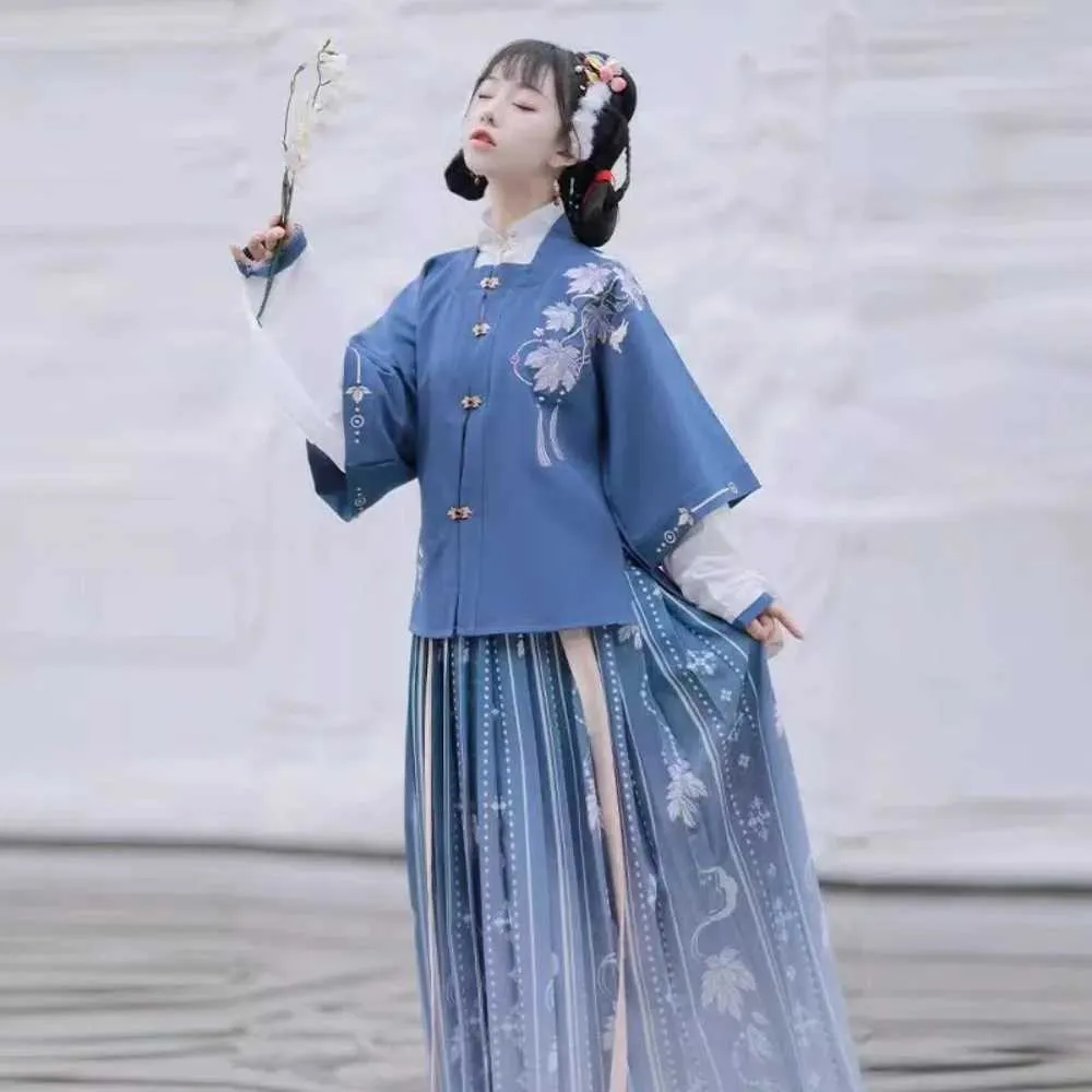 Vêtements ethniques Vêtements traditionnels chinois pour femmes Hanfu robe femme femme élégante hanfu chinois ancienne broderie ming dynastie hanfu