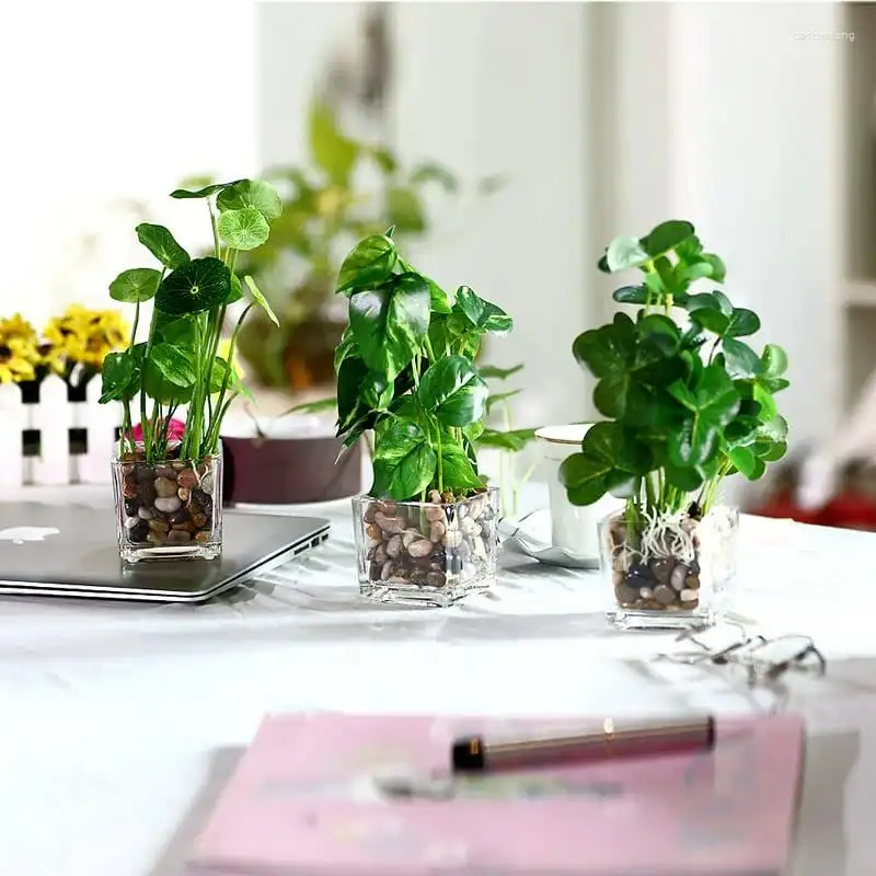 Kwiaty dekoracyjne nowoczesne sztuczne zielone liście mini faux rośliny dotknięte szklanym garnkiem
