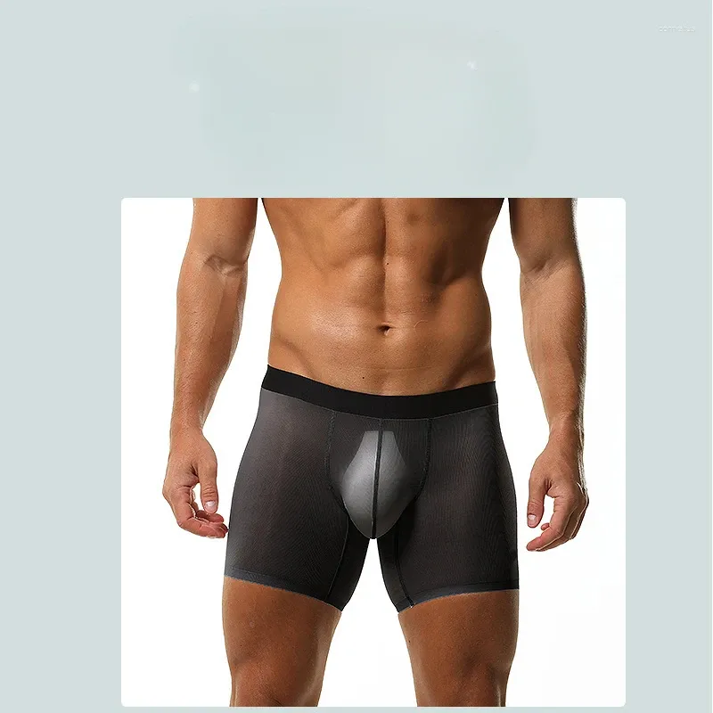 Majaki Mężczyźni Trunks Ultracien Transparent Sport Biecid Extended Anti Wear Crotch Mettie