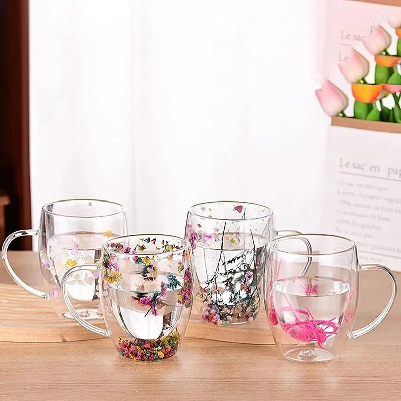 Cafetière 1pcs 350 ml Boulires fleurs sèches tasse en verre mural double avec poignée tasses à thé résistant