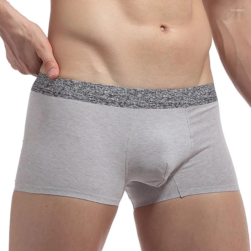 Sous-pants Modal Men Underwear Boxer Shorts en coton Great Homme sans couture sexy pour hommes