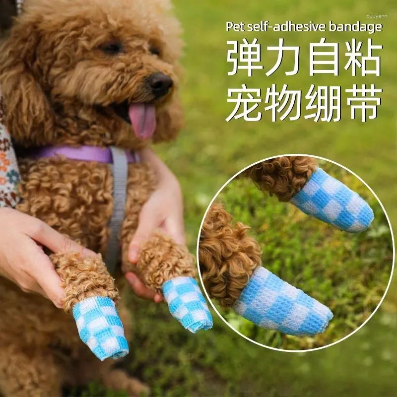 Serviette à jambe de compagnie ruban adhésif pour prévention et protection sale - fournitures en gros promenades pour chiens