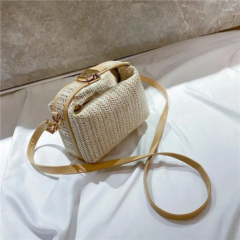 Shoulder Bags Atmosphere Women's Bag 2024 Crossbody Korean Version Net Red Winter Versatile Ins High Quality Single Pet