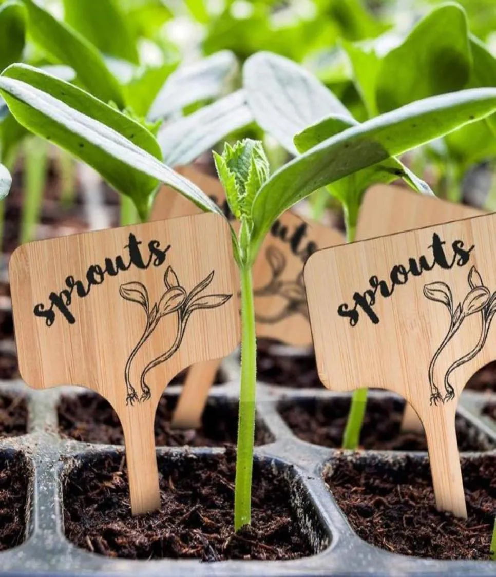 Etiquetas de plantas de bambú de ttype de 50 piezas Etiquetas de madera ecológica marcadores de jardín para hierbas en macetas de hierbas de flores decoraciones 5403937