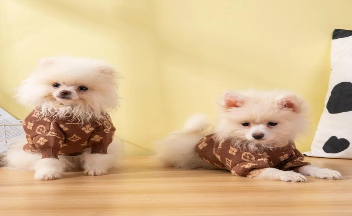 Luxury Dog Clothes Dachshund Dog Sweaters For Small Dogs Hög Elasticitet Mjuk och bekväm designer Pet Sweater Pet Supplies 223782435