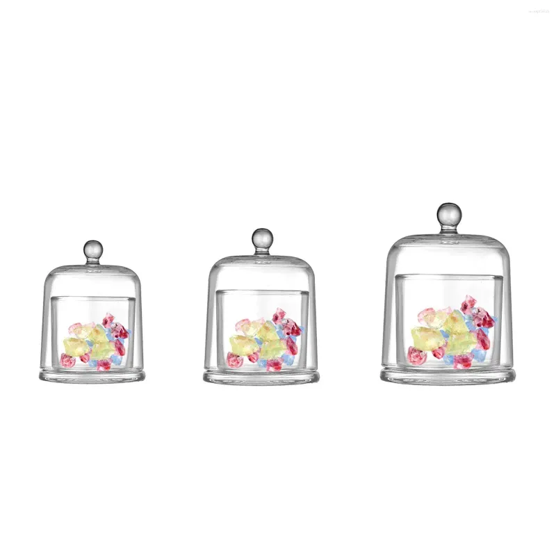 Bouteilles en verre dôme cloche transparent pour la décoration intérieure avec bougeoir de poignée supérieure petit desserts collectionnelles watch bijoux plantes