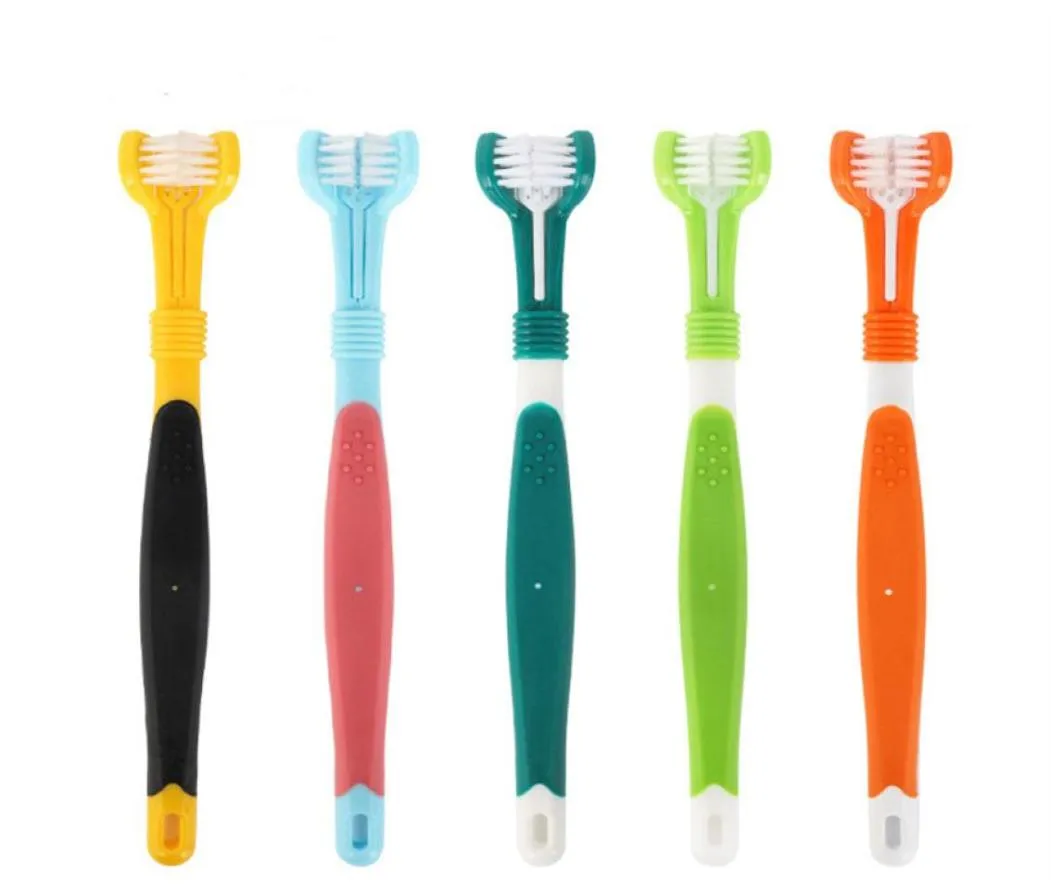 Chien toilettage pour animaux de compagnie chien trois brosses à dents nettoyage oral grand3457856