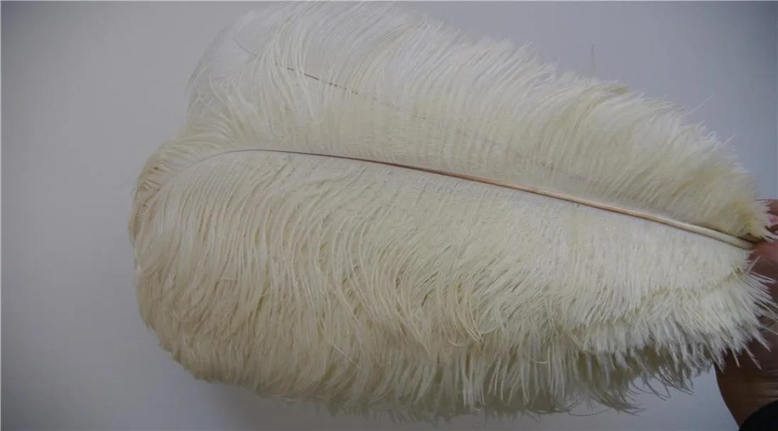 100 PCSLOT IVORY OSTRICH FEATHER PLUME FOR WEDDING CENTERPIECE PARTY FESTIVE SUPPLY DECOR2756050