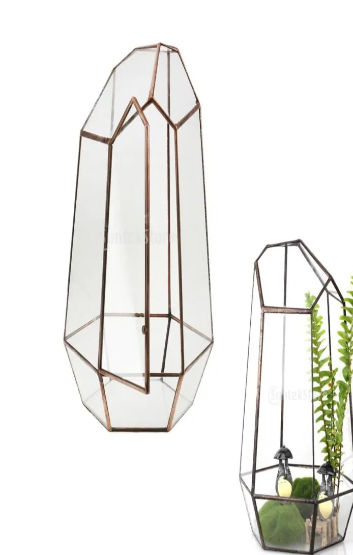 19cm Height Irregular Glass Geometric Terrarium Box Tabletop Succulent Plant Planter Flower Moss Fern Pot Y2007094023008