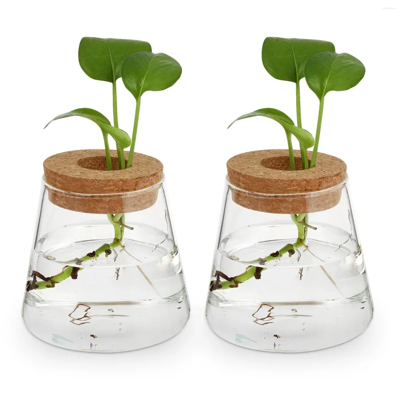 Vasi da 2 pezzi Terpa prove eco bottiglia decorazione da pranzo tavolo da pranzo vaso in legno piante idroponiche Terrarium