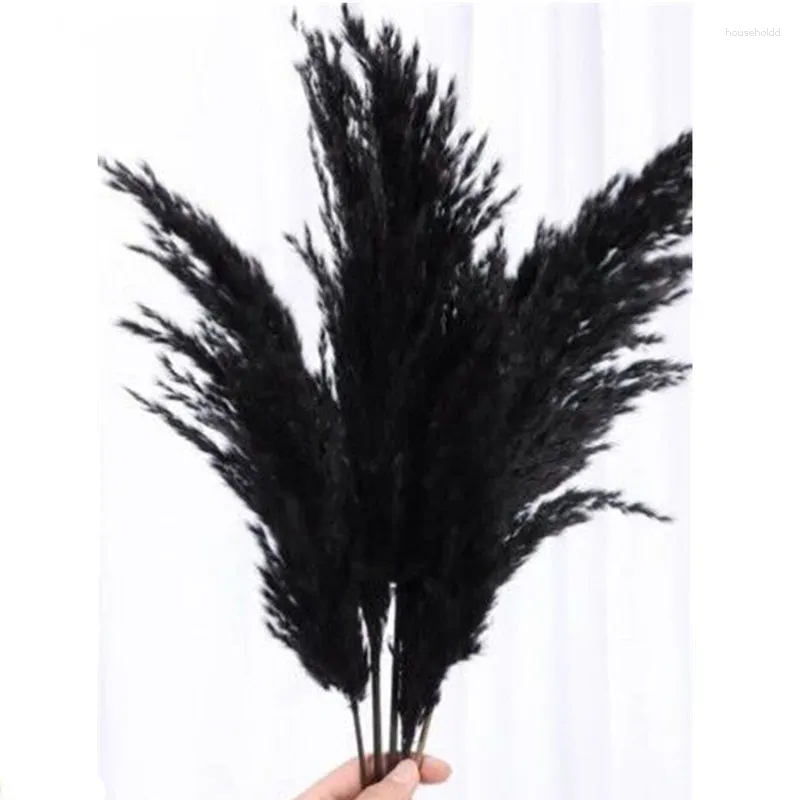 Kwiaty dekoracyjne 5pcs/partia duże pampas Grass Dye Naturalne czarne trzciny flores na salon Spotkanie Dekorcyjne zakupy