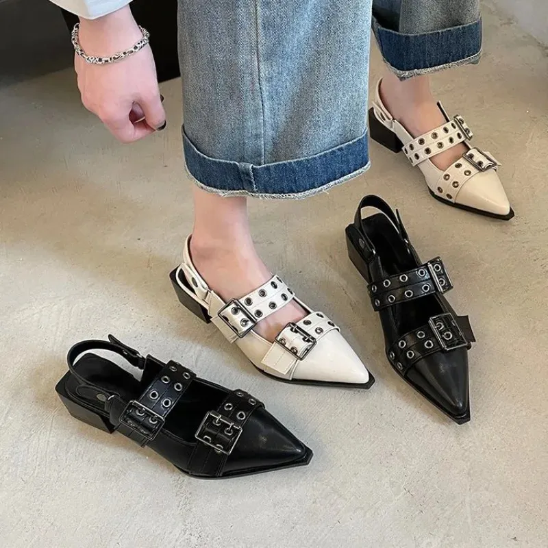 Pointy Mary Jane Shoes for Women Summer Model with Skirt Small Leather Shoesレトロなチャンキーシングルシングルシングル靴240118