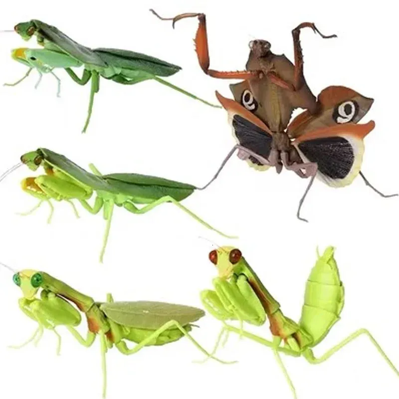 Gashapon Kapselspielzeug, Simulation einer Gottesanbeterin, künstlicher Organismus, Insektenmodell, südamerikanische Mantis-Kollektion, Ornamente, 240130