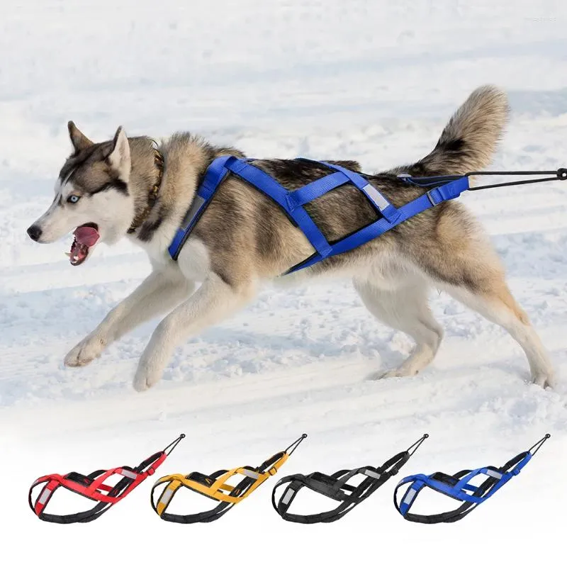 Köpek yaka kızak koşumu yansıtıcı evcil hayvan skijor su geçirmez büyük büyük köpekler ağırlık çekme yeleği eğitim için