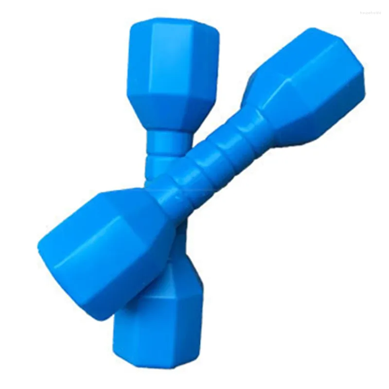 Dumbbells Children Outdoor Fitness Early Education Home Weights Equipment Exercise Hand Gym Sports 2pcs/set Ergonomic Fun