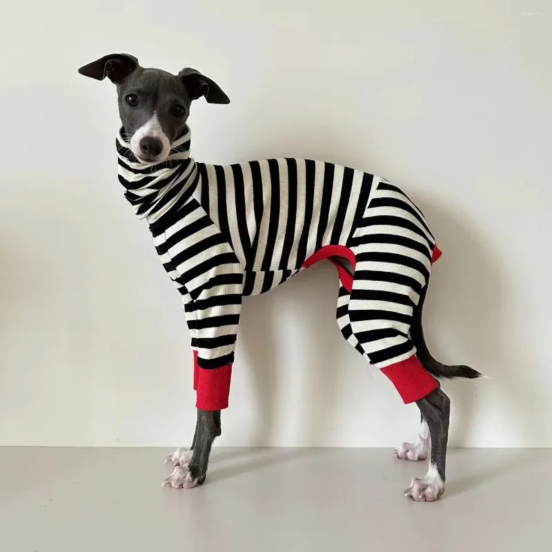 Vêtements pour chiens Lévrier italien rayé Vêtements à quatre pattes Doux Stretchy Whippet Hiver Chaud