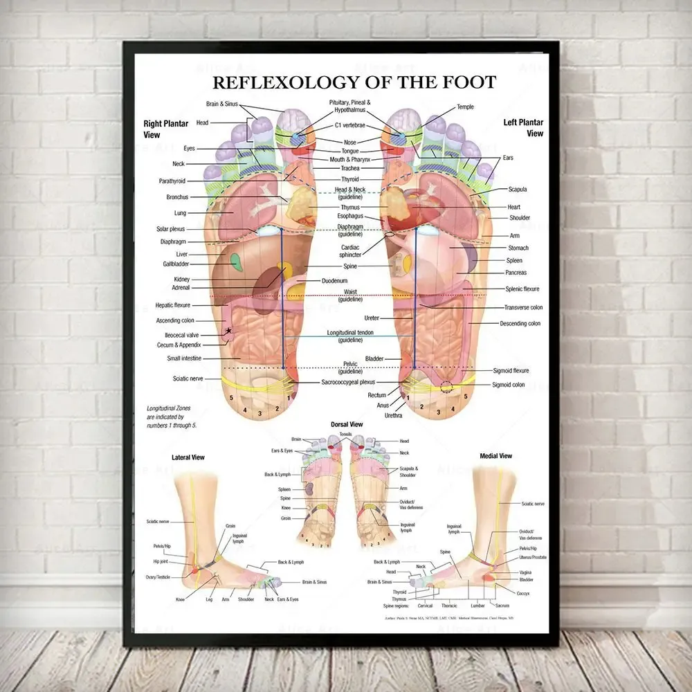 Akupunktura Punktowa tabela Anatomii Plakat sztuki Refleksologia stóp Płótno malarstwo Malowanie drukowane na ścianę do salonu wystrój domu 240127