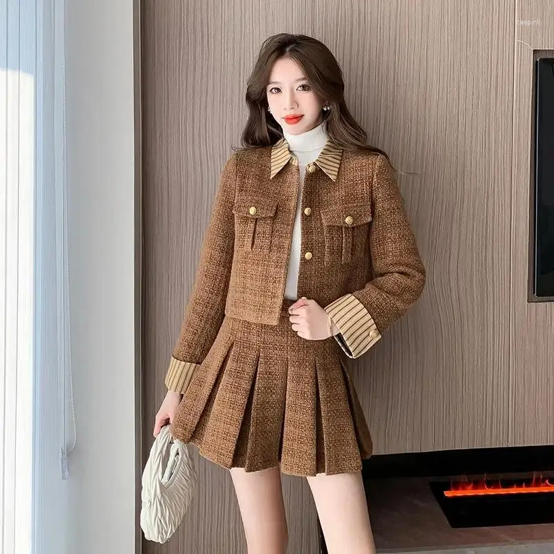 Two-Piece Dress Set for Women Autumn/Winter with Padded Jacket and Pleated  Skirt Polyester Broadcloth from Dhgate Two Piece Dress - price 46.84
