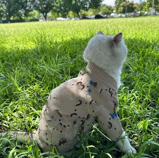 Outono nova marca de moda animal de estimação camisola bonito urso cardigan gato cão pequeno e médio porte roupas para cães