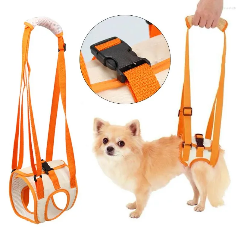 Dog Apparel Lift Rear Support Harness Pet Walking Aid Lifting Pulling Vest Sling Supply Leg Assistance Oxford Belt