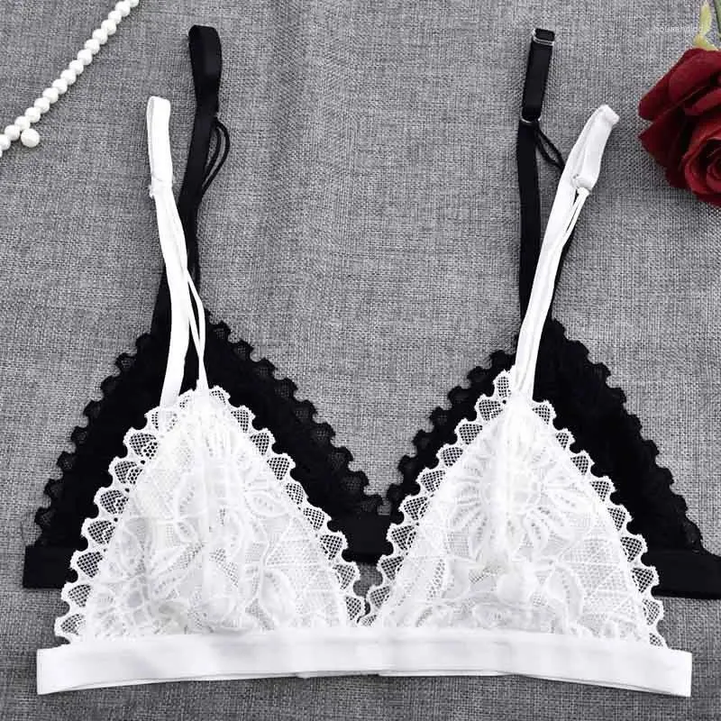 BRAS 2024 Sexiga kvinnor Floral spetsbra Trådfri braltet underkläder Kvinnlig sömlös Unpadded Transparent Brassiere Intimates