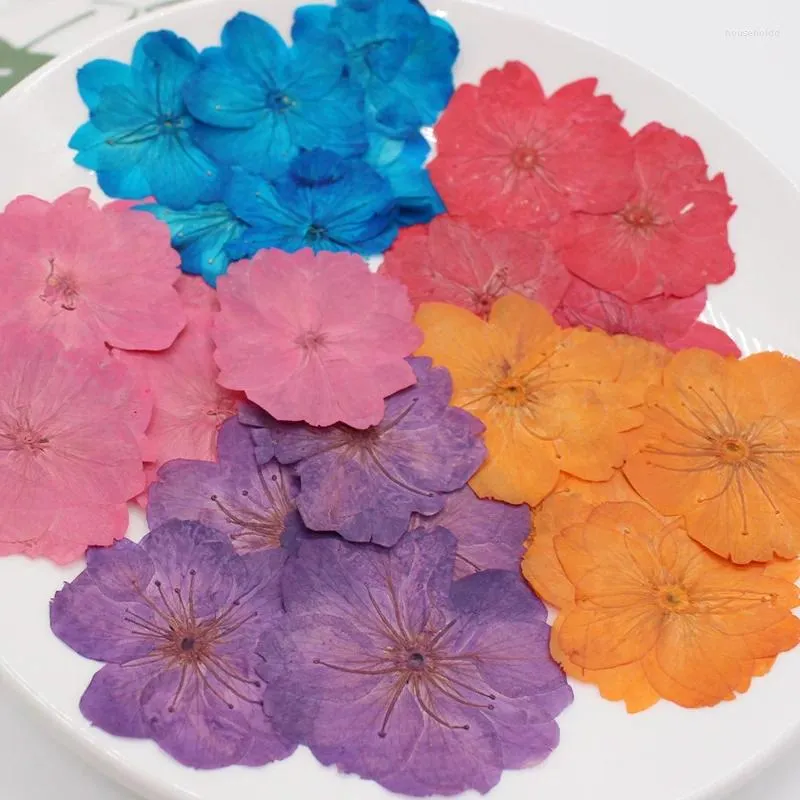 Decorative Flowers 250pcs 3-4cm Pressed Dried Dyed Sakura Cherry Flower Plant Herbarium For Jewelry Postcard Bookmark Phone Case Scrapbook