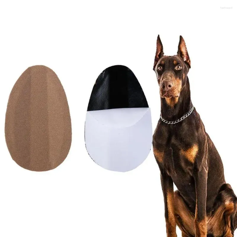 Vêtements pour chiens, monteur d'oreilles, Correction correcte pour animaux de compagnie, Pinscher, autocollants debout, outils de soins, fournitures