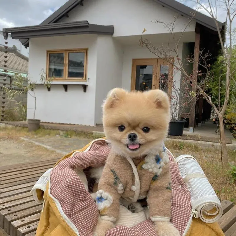 Abbigliamento per cani INS Abiti autunnali e invernali Caldo gilet di lana di agnello con fiori Gilet Giacca Maglione Cappotto per cuccioli di animale domestico