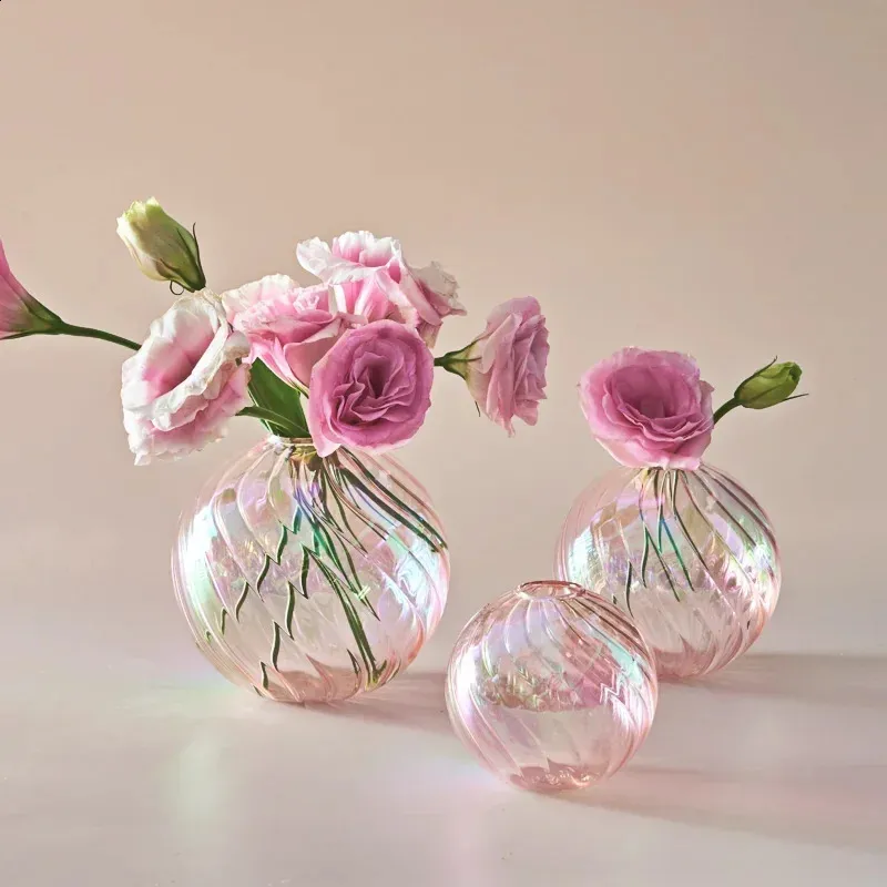 Vases boule irisés décoration maison salon Pot de fleur pour intérieur Vase en verre plantes de table décor 240131