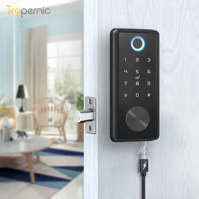 SMART LOCK CERRADURA INTeligente fingeravtryck Dörr Tuya Bluetoothlock Wifi Deadbolt Electronic