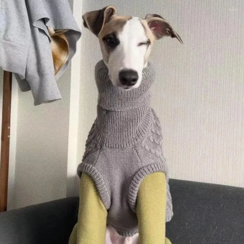 Abbigliamento per cani Inverno Morbido Cucciolo Gilet lavorato a maglia Dolcevita Maglione per animali domestici Whippet Levriero Grande