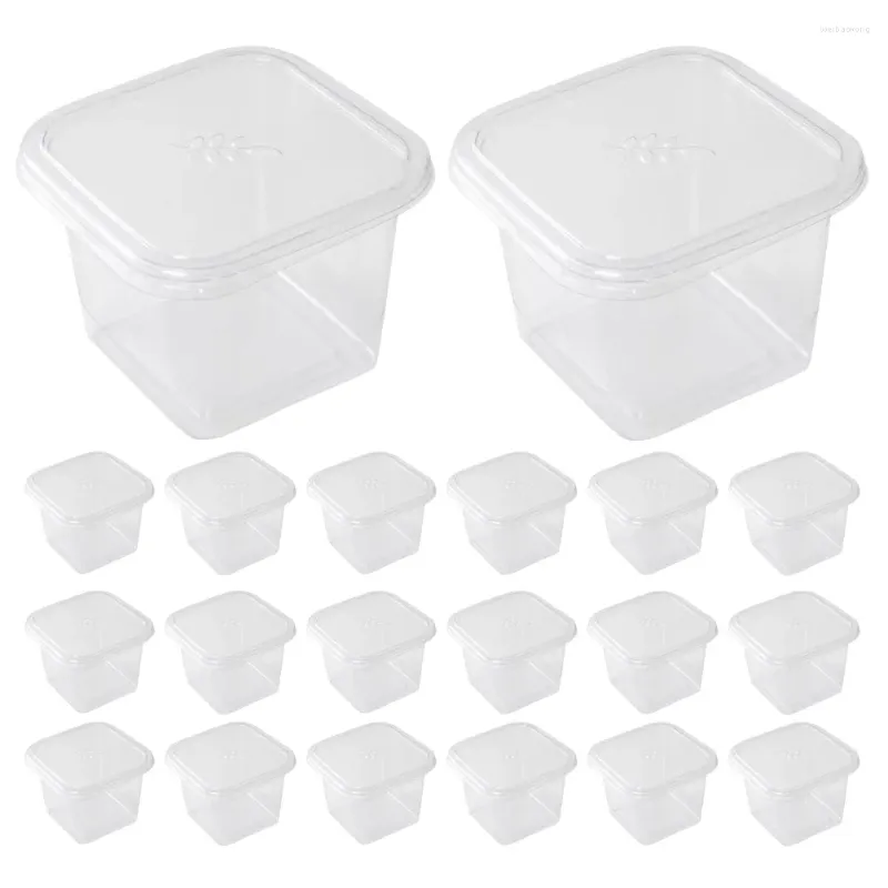 Take Out Containers 50 Stuks Taartdoos Dozen Papieren Bekers Biscuit Met Deksels Clear Cupcake Kleine Plastic Dessert Bakkerij