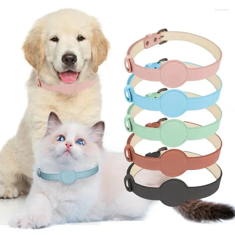 Collari per cani Collare Airtag compatibile per Apple Air Tag Animale domestico regolabile con custodia Accessori Cani e gatti