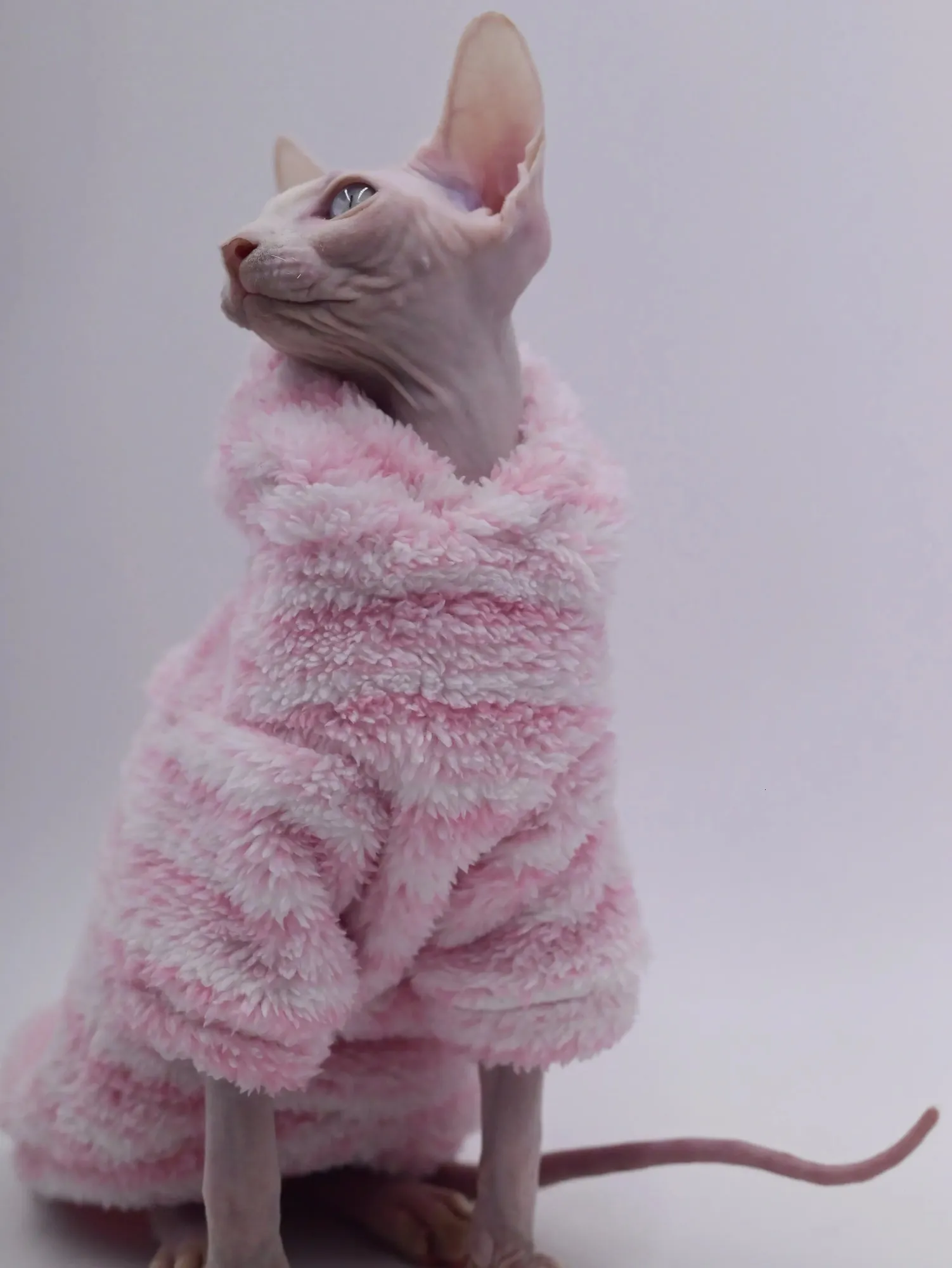 MinkFleece Pet cardigan Autumn winter thick jacket for cat Sphinx Clothing hairless cat clothes Devon warm dresses for cats 240130