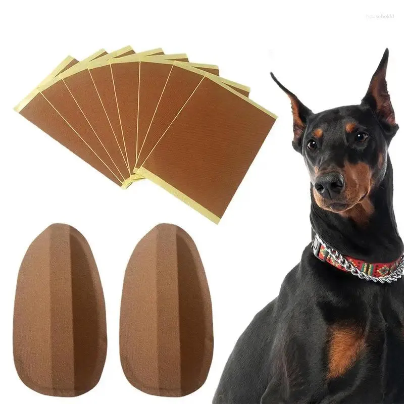 Kit de publication d'oreille de vêtements pour chiens, outil de support fixe, Correction verticale pour Doberman Samoyed et berger allemand