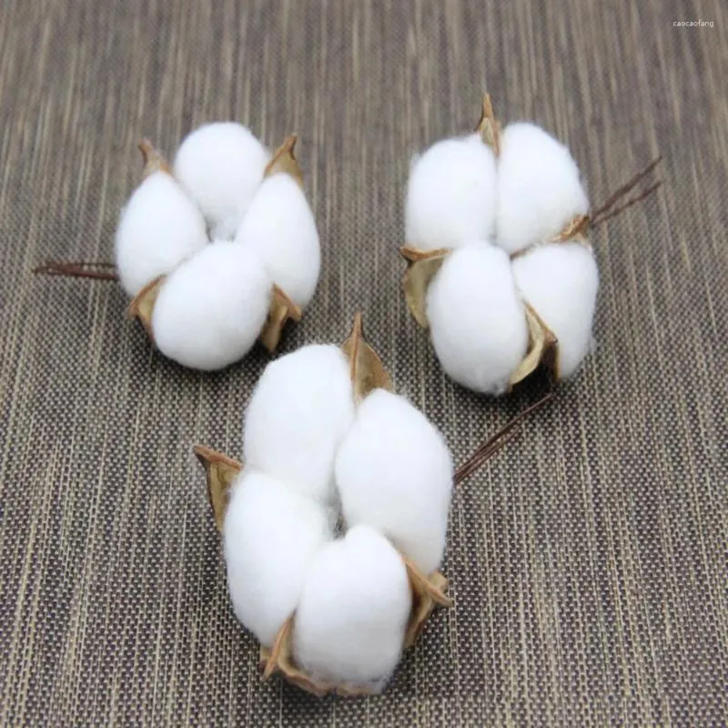 Decorative Flowers 6 Pcs Cotton Stalks Decor Dried Stems Artificial Boll Accessories Branches