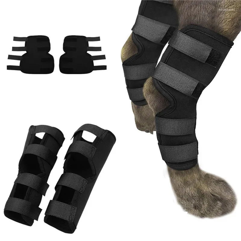 Hundkläder Pet Knee Pads Support Brace For Leg Hock Joint Wrap Breatble Injury Recover Ben Protector Protect Bandage