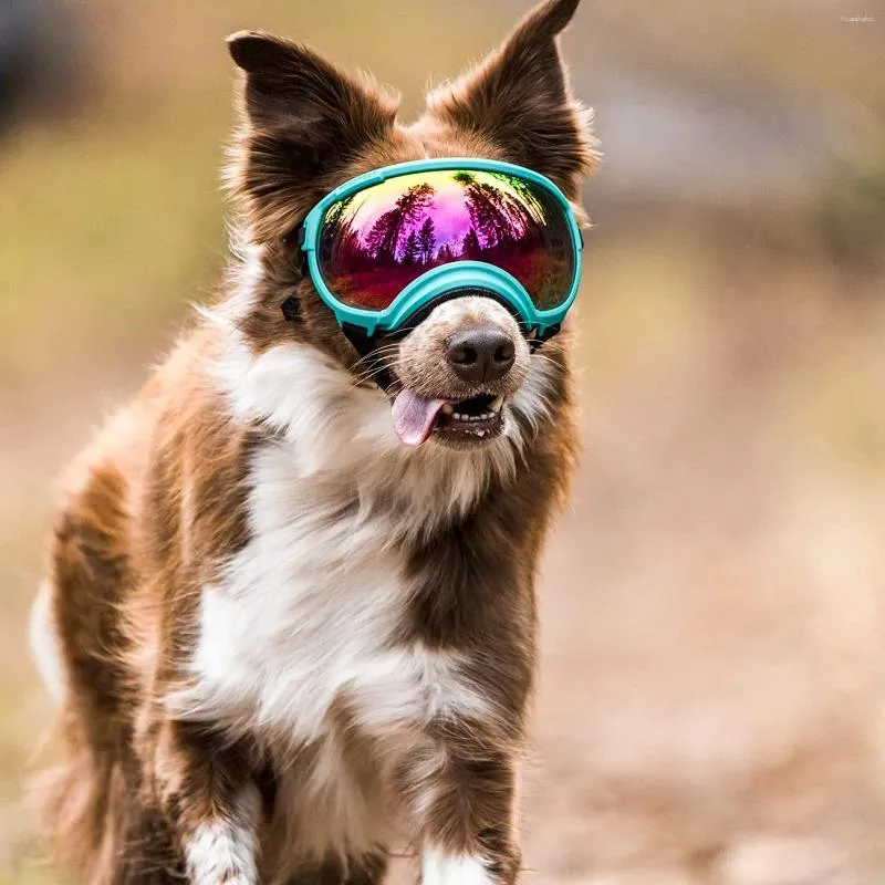 Köpek Giyim Güneş Gözlüğü Gözlükleri Ayarlanabilir Kayış UV Koruması Kazanım Orta Büyük Pet Camları İçin Uygun