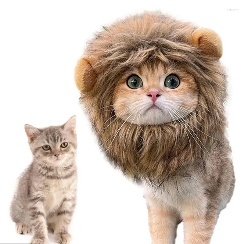 Costumi per gatti Costume per animali domestici con criniera di leone Cappello operato lavabile Divertenti gattini gattini si vestono per Halloween Cosplay