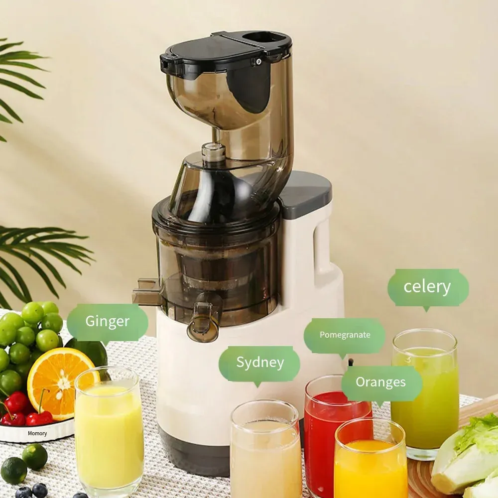 Compacte Slow Masticating Juicer-machines 7 inch grote invoertrechter Gemakkelijk schoon te maken BPA-vrij 500 W koude pers Juicer-machine 240124