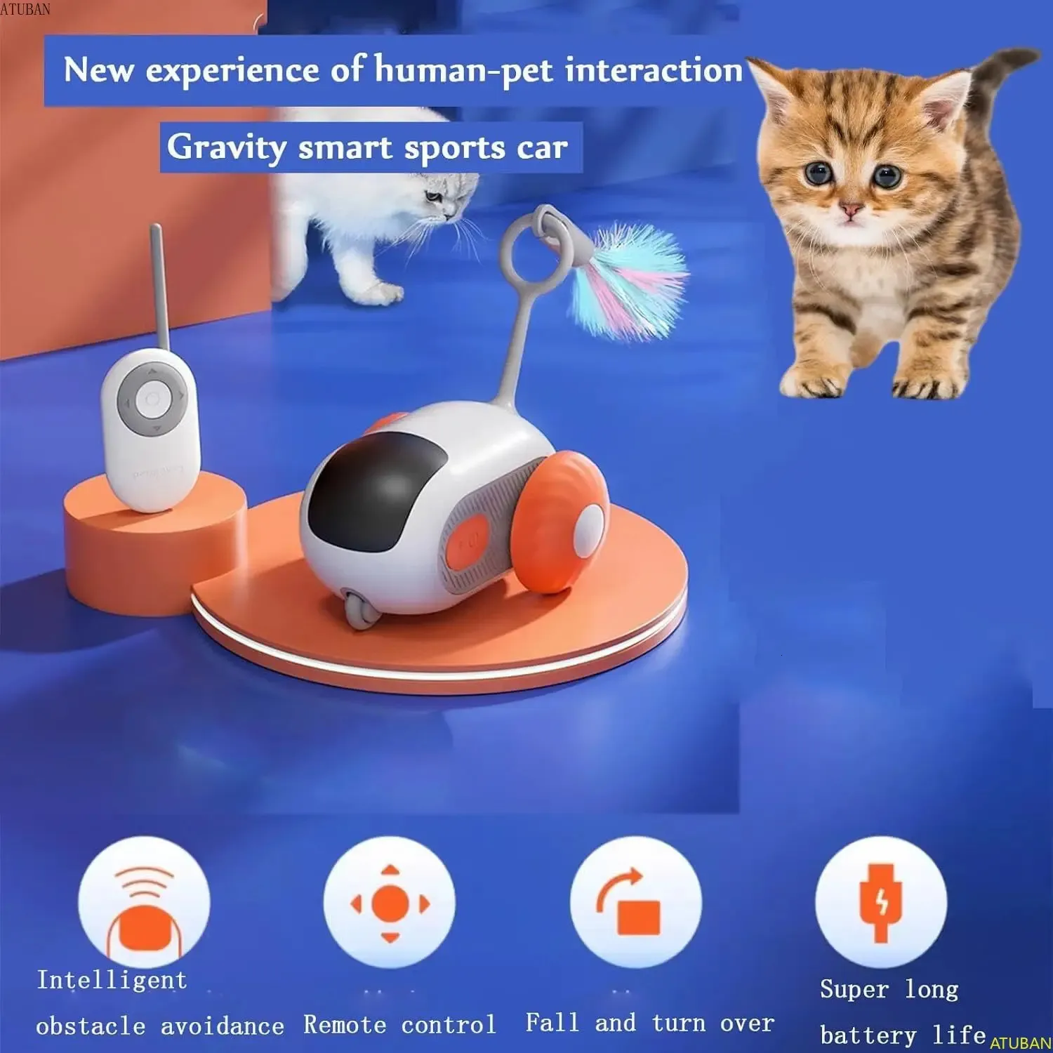 Cat remote control car hot sale