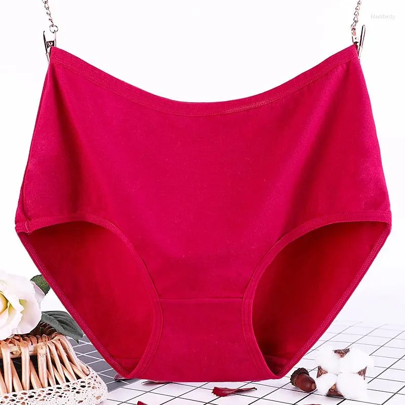 Calcinha feminina plus size mulheres respirável cuecas de algodão meados de cintura lingerie sólida verão roupa interior feminino íntimos XL-5XL