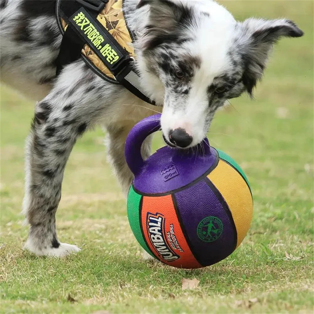 Jouet pour chien de compagnie balle de basket-ball résistante aux morsures poignée en caoutchouc indestructible grand et petit chien formation jeu interactif balle jouet 240118