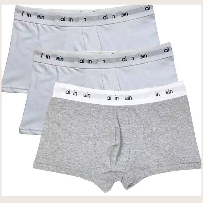 Underpants mens underwear designer man sexy boy Boxers Mens Boxer Briefs Soft Breathable Cotton Waistband Soft underpants letter Boxer Comfortable short pants