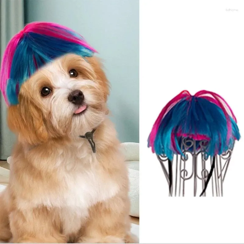 Portador de cachorro engraçado gato cães rosa azul bobo perucas traje cabelo festa de halloween gota